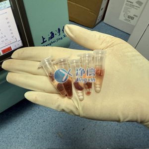 冷冻研磨仪对小鼠组织部位研磨实验案例